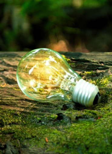 empresas de estudios ambientales